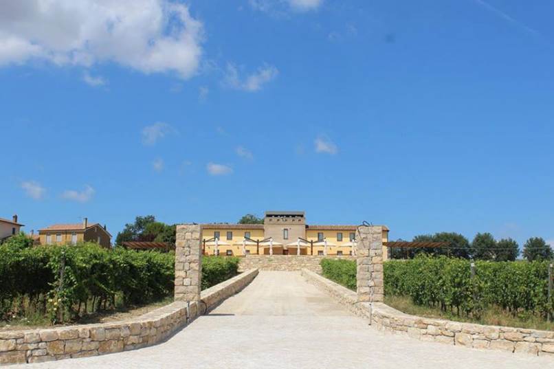Cantina Tabarrini